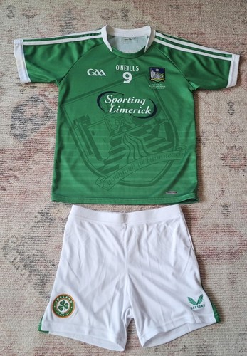 Limerick luimneach gaa eire - limerick,