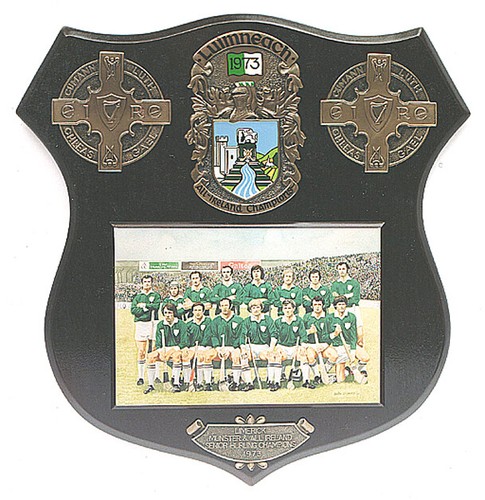Limerick all ireland - limerick, senior