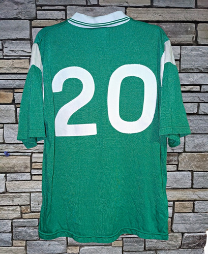 2000 limerick hurling gaa - limerick,