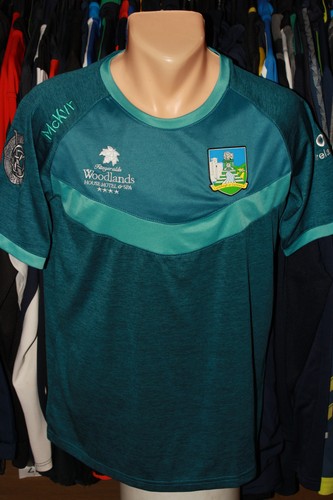 Luimneach limerick gaa mckvr - luimneach,